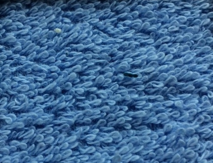 Махровая ткань на отрез голубая